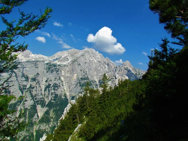 Vista Panorámica Montaña Rjavina Los Alpes Julianos Parque Nacional Triglav — Foto de Stock