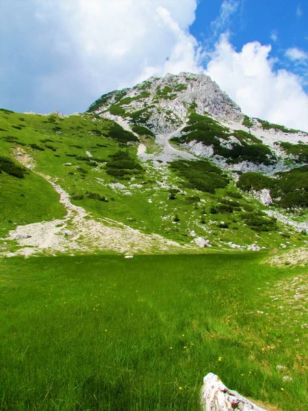 Άποψη Του Βουνού Mali Draski Vrh Στις Julian Άλπεις Και — Φωτογραφία Αρχείου