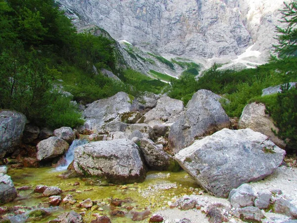 Arroyo Montaña Valle Vrata Los Alpes Julianos Parque Nacional Triglav — Foto de Stock