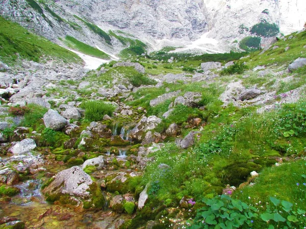 Arroyo Montaña Valle Vrata Los Alpes Julianos Parque Nacional Triglav — Foto de Stock