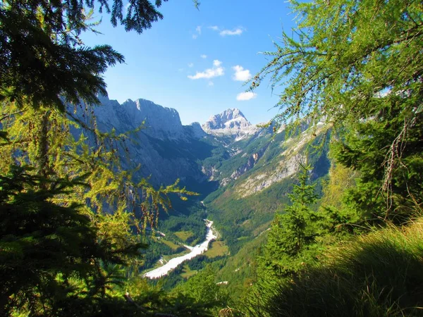位于斯洛文尼亚Julian Alps和Triglav国家公园的Bavski Grintavec山和Zadnja Trenta谷的风景景观以及覆盖在落叶松上的斜坡 — 图库照片