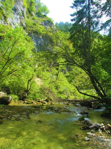 Widok Rzekę Iska Occie Iski Słowenia Strome Trawiaste Stoki Pokryte — Zdjęcie stockowe