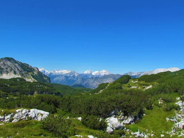 Живописный Вид Заснеженные Вершины Гор Горах Канин Словению Альпийский Ландшафт — стоковое фото
