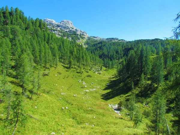 Triglav Ulusal Parkında Çimlerle Kaplı Parlak Vadi Slovenya Julian Alpleri — Stok fotoğraf