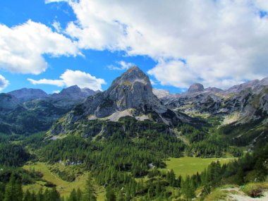 Slovenya 'nın Gorenjska bölgesindeki dağlık Miseljski Vrh Dağı ve Triglav ulusal parkındaki Velo Polje Dağı ve Julian Alpleri' nin manzarası çayır ve tarla ormanlarıyla kaplı.