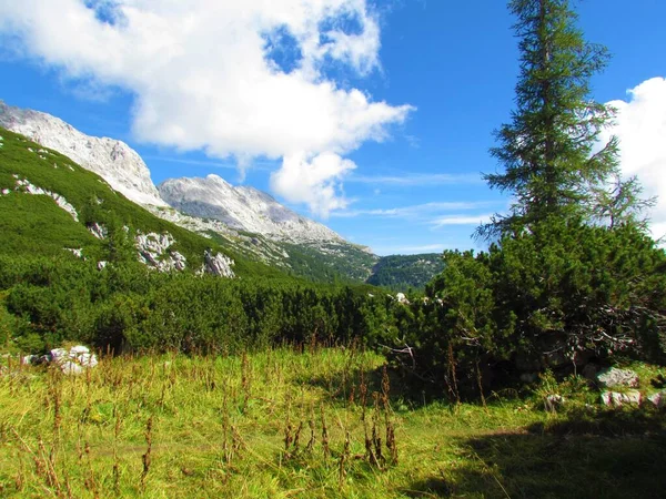 Malerischer Blick Auf Die Schöne Alpine Landschaft Mit Wiesen Und — Stockfoto