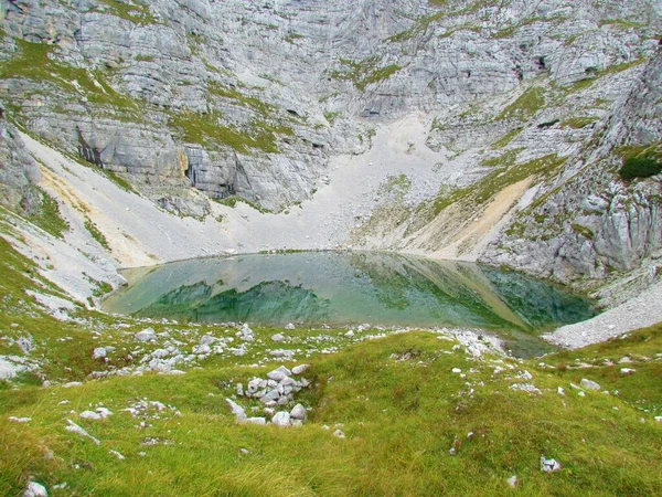 Lago Bajo Kriski Podi Parque Nacional Triglav Eslovenia Con Prado — Foto de Stock