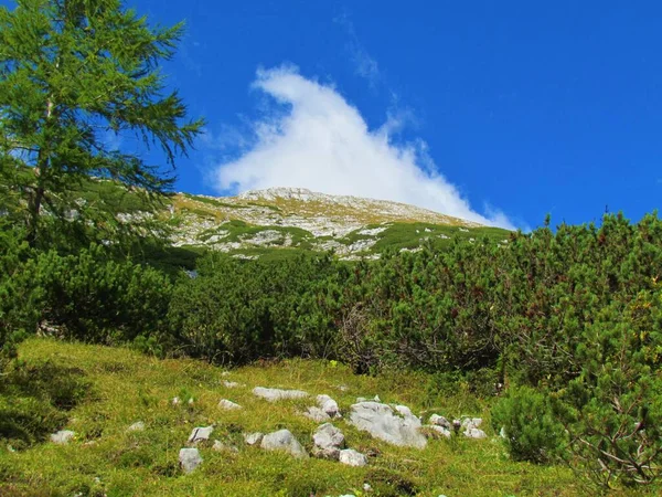 Vue Sur Montagne Veliki Draski Vrh Dans Parc National Triglav — Photo