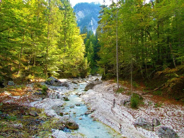 Krásný Potok Martuljek Cestě Vodopádu Gozd Martuljek Obklopený Kamenitým Břehem — Stock fotografie