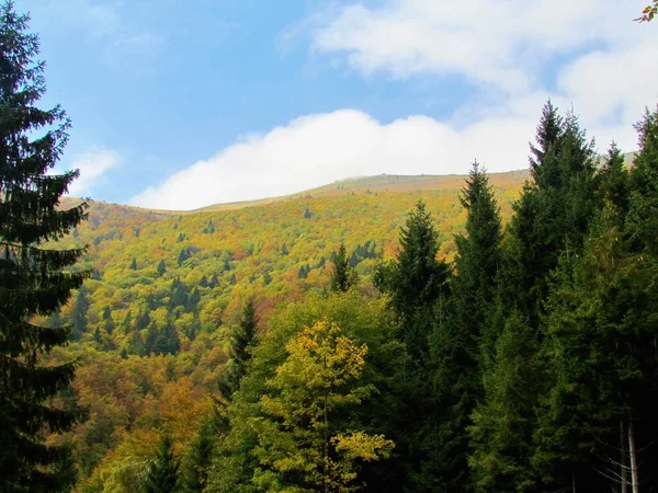 Vue Panoramique Montagne Porezen Dans Région Gorenjska Slovénie Pré Alpine — Photo