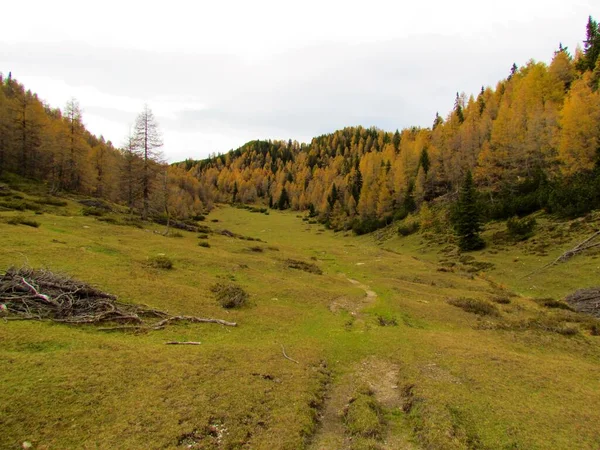 Tal Mit Einer Bergwiese Herbst Umgeben Von Goldenen Und Orangefarbenen — Stockfoto