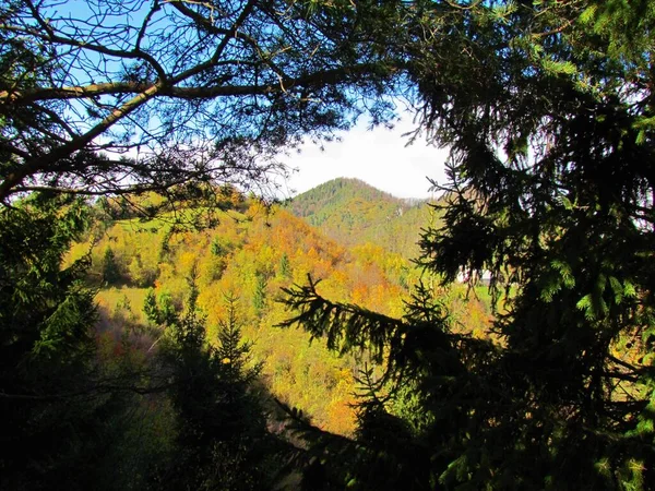 スロベニアのポロフ グラデツの丘の上にあるトスク山の色鮮やかな景色フレーム内の木の枝と秋 — ストック写真