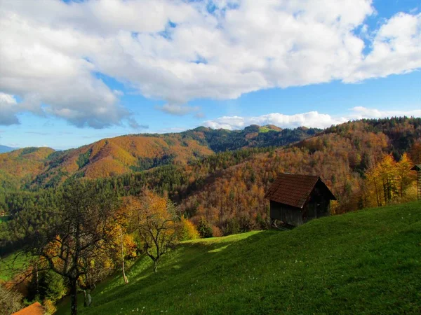 Montagna Mohor Coperto Autunno Foresta Colorata Gorenjska Slovenia — Foto Stock