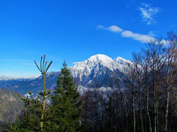 Landschappelijk Uitzicht Bergen Grintovec Skuta Kamnik Savinja Alpen Gorenjska Regio — Stockfoto