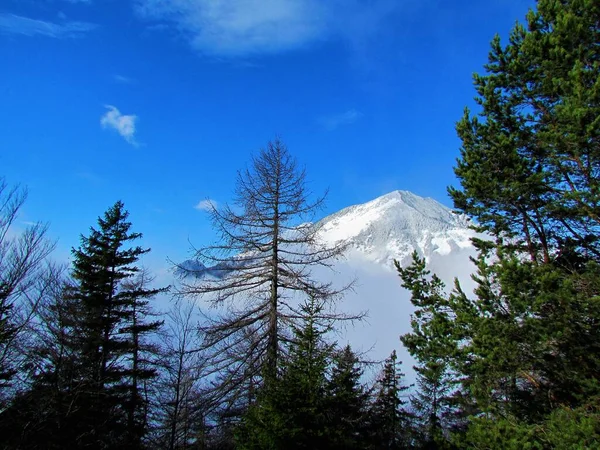 Scénický Pohled Horu Srednji Vrh Kamnicko Savinjských Alpách Oblasti Gorenjska — Stock fotografie