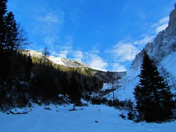 Vallei Balg Berg Kosutica Karavanke Bergen Slovenië Bedekt Met Sneeuw — Stockfoto