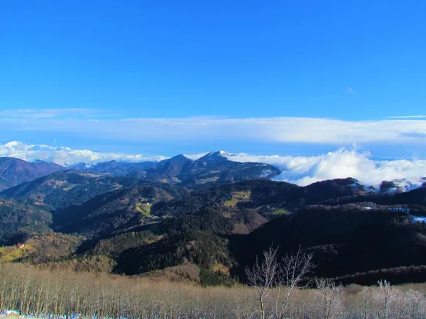 冬には高山のスロベニアの丘を覆う森の景色と スロベニアのGrenjska地域の風景を山のブレゴスで覆う雲 — ストック写真