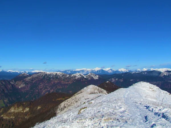 山頂を覆う雪に覆われた澄んだ青い日に 冬のスロベニアのGrenjska地域のPorezenの頂上から撮影された山のストールとカラバンケの山々の風景 — ストック写真