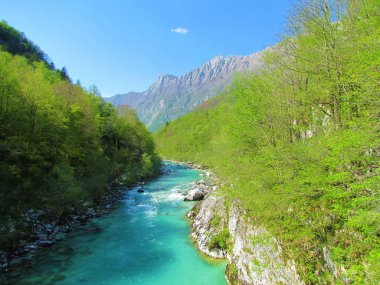 Slovenya 'nın Littoral bölgesinin arka tarafında Krasji Vrh' nin parlak yeşil yeşillikleri ve dağ sıralarıyla kaplı bir vadiden akan zümrüt renkli Soca nehrinin manzarası.