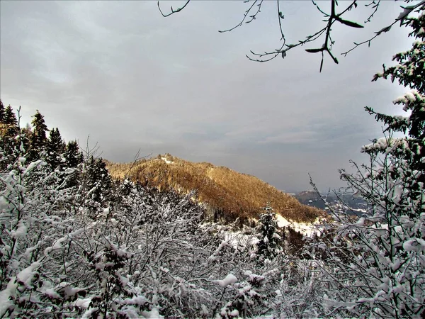 Scénický Pohled Jost Gorenjska Slovinsko Kopec Zimě Osvětlené Sluncem Kostel — Stock fotografie