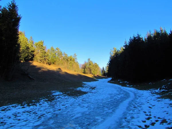 Tal Voralpinen Slowenien Umgeben Von Wald Und Schneebedecktem Boden — Stockfoto