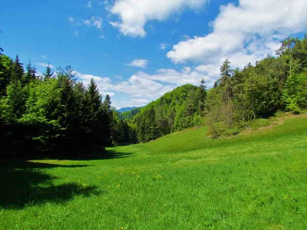 澄んだ青い春の日に 高山のスロベニアの森に囲まれた明るい緑の谷 — ストック写真