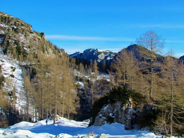 Panorama Invernale Delle Montagne Sopra Valle Krma Nel Parco Nazionale — Foto Stock