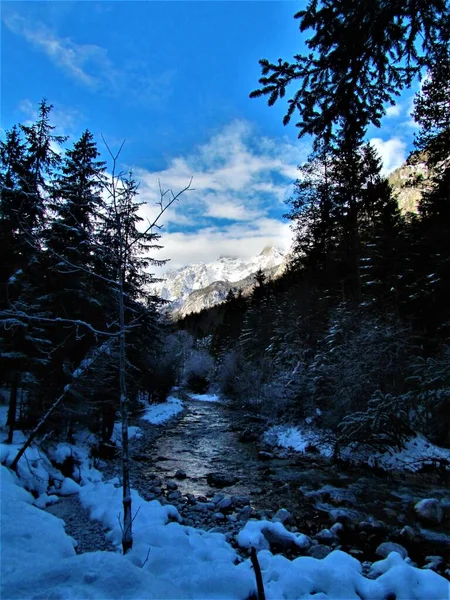 Kışın Triglav Ulusal Parkında Vrata Vadisi Nden Akan Nehir Kışın — Stok fotoğraf