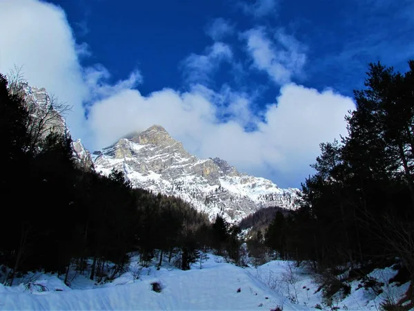トリグラフ国立公園のヴラタ渓谷の上の冬のクコヴァ ピカのピークとジュリアン アルプスの景色 Grenjskaスロベニア — ストック写真