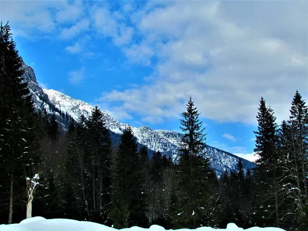 Vista Panorámica Las Laderas Cubiertas Bosques Nieve Invierno Sobre Valle —  Fotos de Stock
