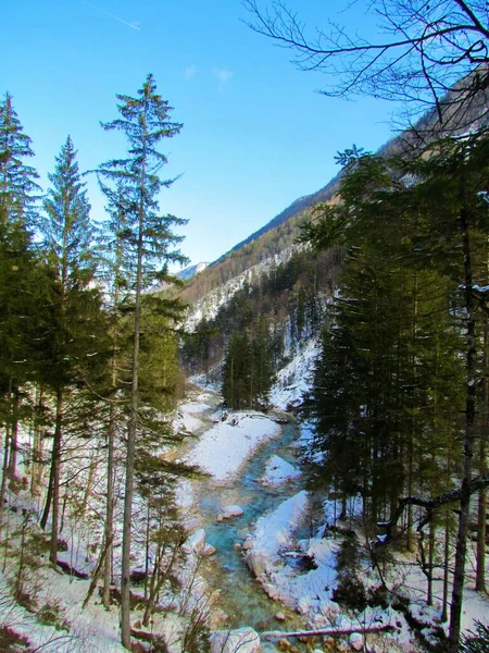 공원에 계곡을 관통하여 흐르는 겨울에 슬로베니아의 줄리안 — 스톡 사진