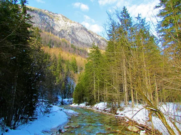 Scénický Pohled Řeku Protékající Údolím Vrata Triglavském Národním Parku Juliánských — Stock fotografie