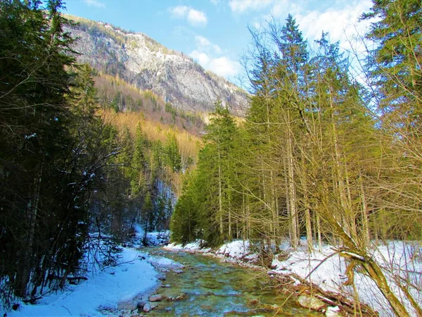 Scenic Uitzicht Rivier Stroomt Door Vrata Vallei Triglav Nationaal Park — Stockfoto