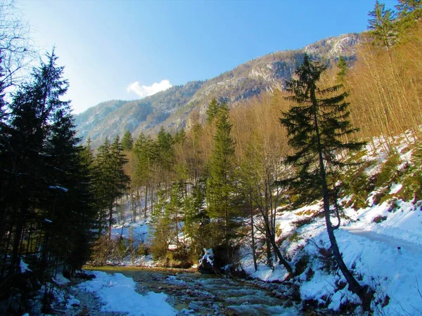 공원에 산비탈 율리아 알프스 산맥의 고렌스카 슬로베니아는 햇살을 잔잔하게 흐르는 — 스톡 사진