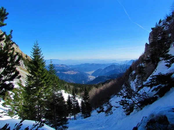 Blick Auf Ein Schneebedecktes Tal Unter Ratotovec Umgeben Von Wäldern — Stockfoto