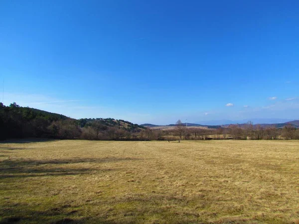 Ländliche Landschaft Der Slowenischen Region Primorska Bedeckt Mit Trockenem Gras — Stockfoto