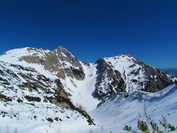 Vue Hiver Sur Les Montagnes Draski Vrh Visevnik Dessus Pokljuka — Photo