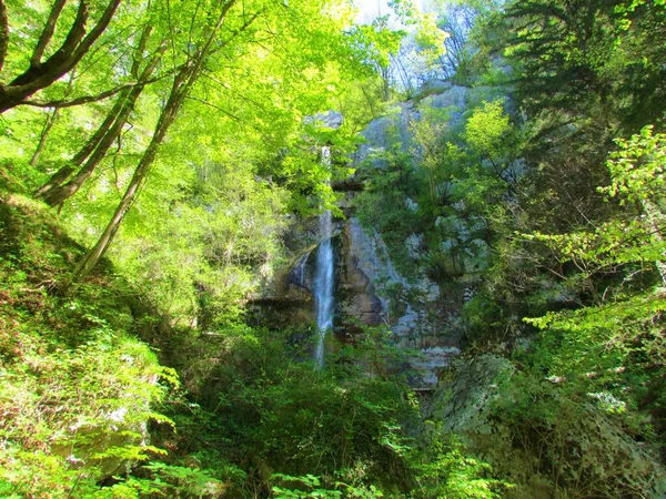 Vodopád Beri Obklopený Zeleným Listím Obci Tolmin Slovinsku — Stock fotografie