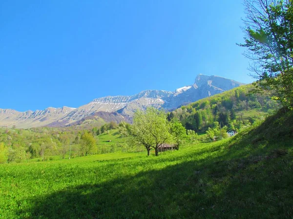 Scénický Pohled Krn Tyčící Nad Jasně Zelenými Loukami Blízkosti Obcí — Stock fotografie