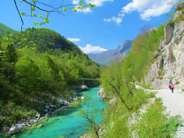 Pohled Smaragdově Zbarvenou Řeku Soca Okolí Kobaridu Oblasti Posocje Slovinsku — Stock fotografie