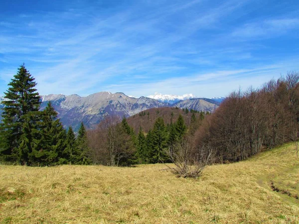 Uitzicht Berg Crna Prst Julian Alpen Slovenië Besneeuwde Piek Van — Stockfoto