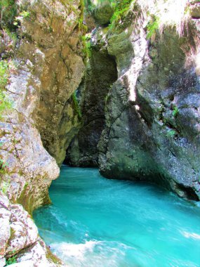 Kamniska Bistrica nehri, Slovenya Predaselj vadisinden nane yeşili renkte akıyor