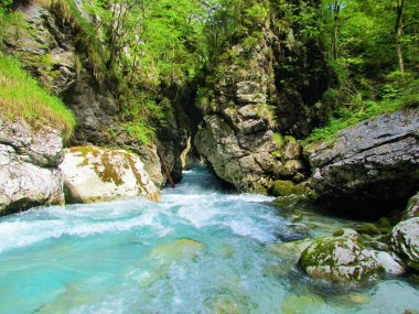 Slovenya 'daki Kamniska Bistrica nehri Predaselj vadisinden doğal yollardan oluşmuş bir tünelin altından akıyor
