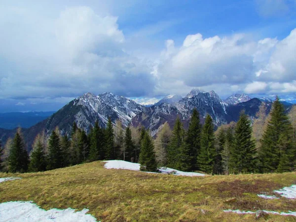 斯洛文尼亚卡拉万科山区的Begunjscica和Vrtaca山景 前面是一片草地 覆盖着干草和雪 后面是一片云杉林 — 图库照片