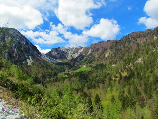 Widok Dolinę Pod Przełęczą Ljubelj Karavanke Słowenia Prowadzącą Zelenicy Wiosną — Zdjęcie stockowe