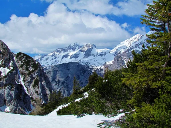 Julian Alpleri Triglav Ulusal Parkı Ndaki Triglav Dağı Manzarası Gorenjska — Stok fotoğraf
