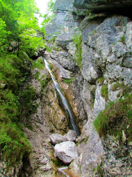 Vista Cascada Orglice Valle Kamniska Bistrica Eslovenia Fluyendo Por Las — Foto de Stock