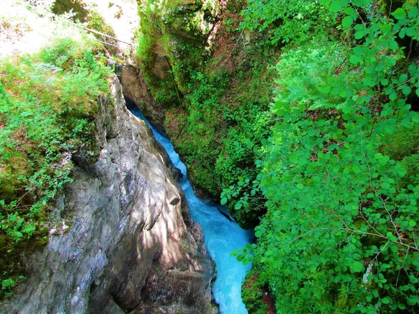 Вид Ущелину Предаселдж Долині Річки Камніска Словенія — стокове фото