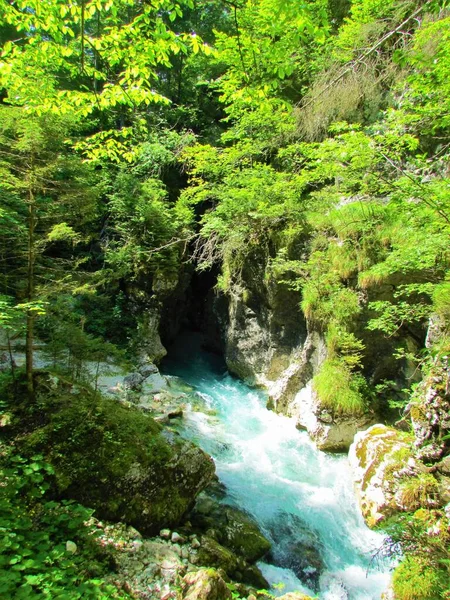 Kamniska Río Bistrica Eslovenia Que Fluye Una Cueva Oscura Predaselj — Foto de Stock