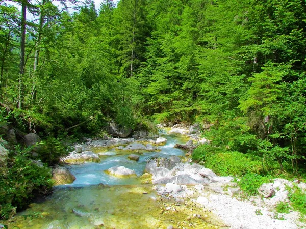 Colorful Martuljek Creek Gozd Martuljek Triglav National Park Julian Alps — Stock Photo, Image